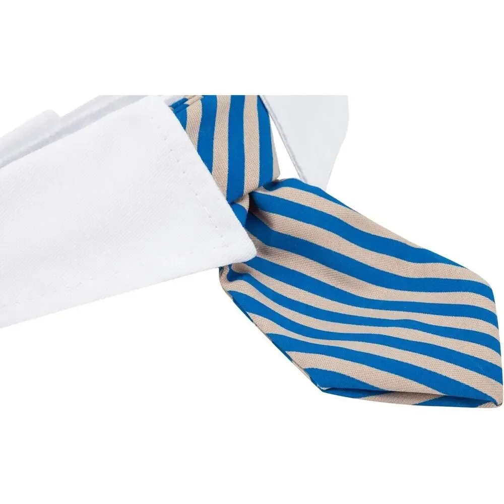 Adjustable Formal Collar Neck Tie for Dogs & Cats Blue & Tan